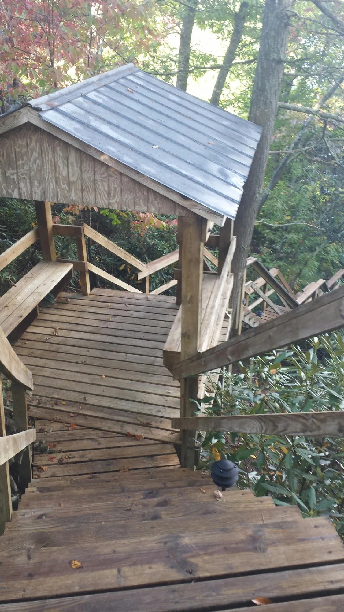 Metal roofed shelter over wooden steps on a wooded walkway — Skylight Repair & Installation work by our crew in Royal Oak