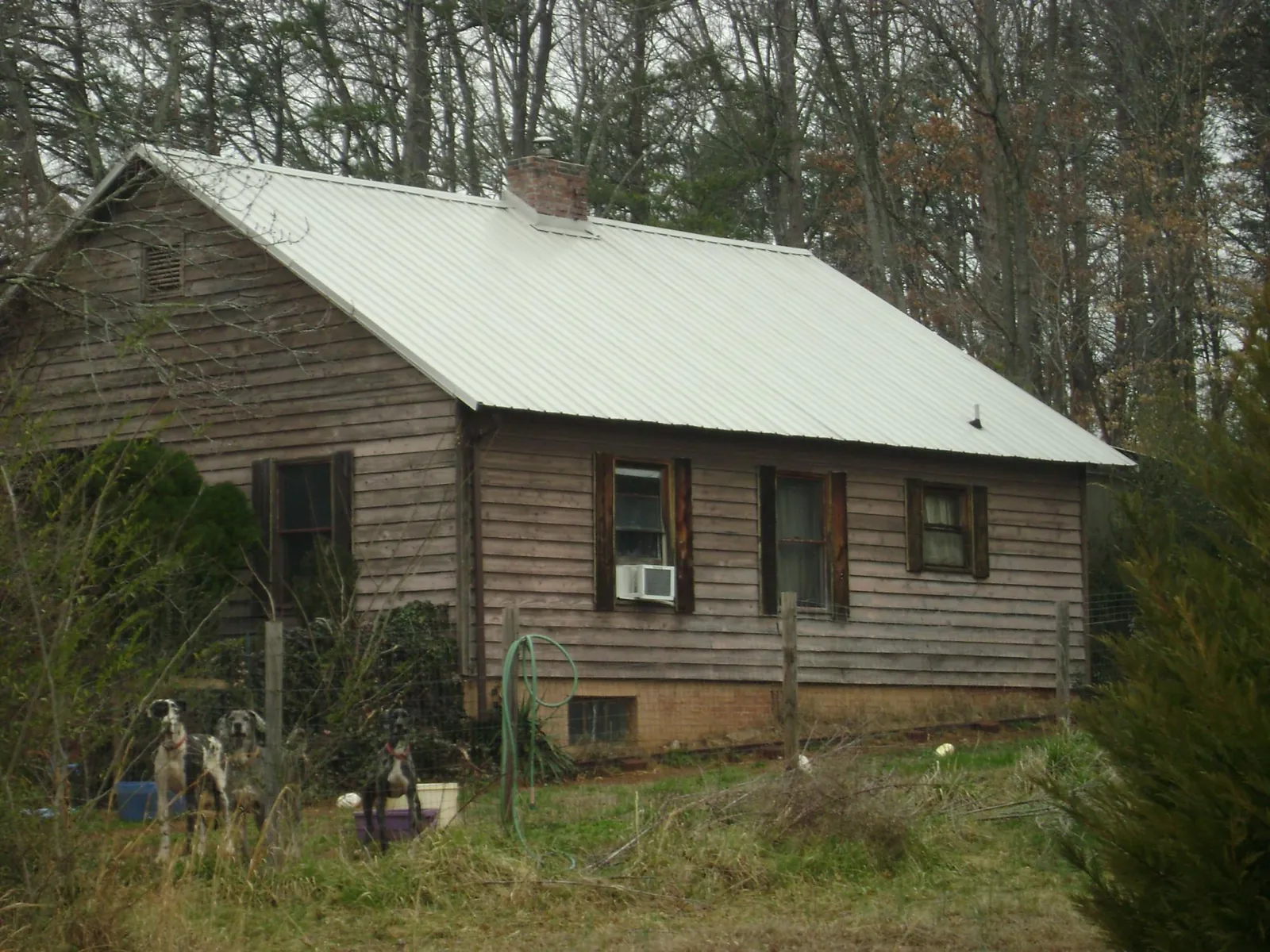 White metal roof on an old wood sided farmhouse, from a Asphalt Shingle Roof Repair job in Royal Oak